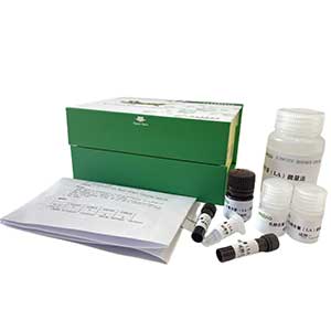 直鏈淀粉含量測試盒/分光光度法主圖